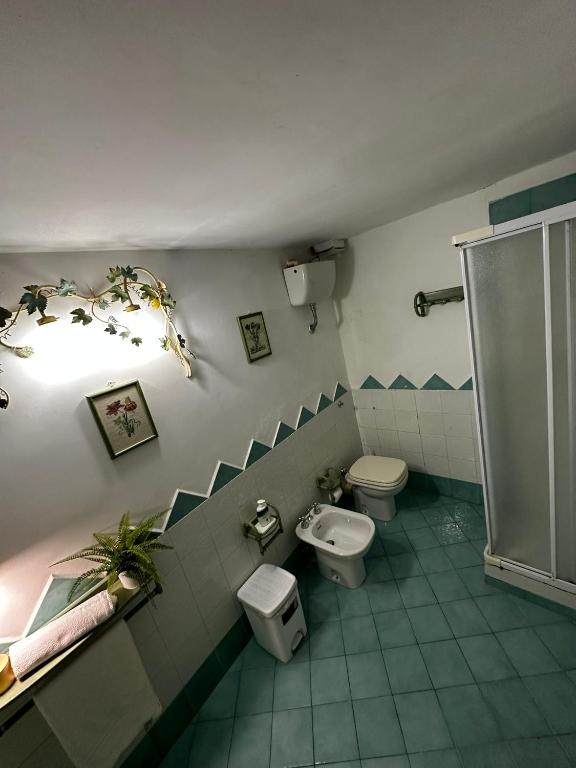 Łazienka w obiekcie La Scala di Atena