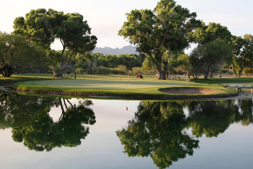 un campo de golf con reflejo en el agua en Tubac Golf Resort & Spa, en Tubac
