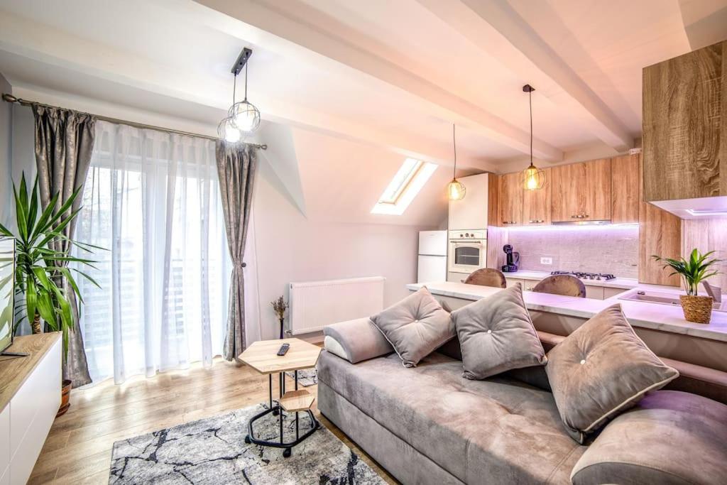 a living room with a couch and a kitchen at Nannie Apartaments Skenges in Rădăuţi