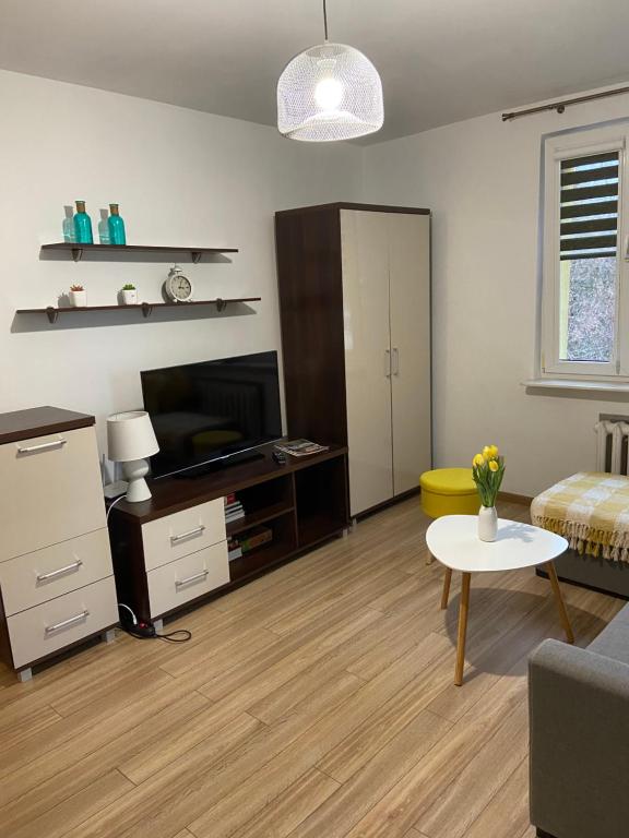 Apartament Saski - 2