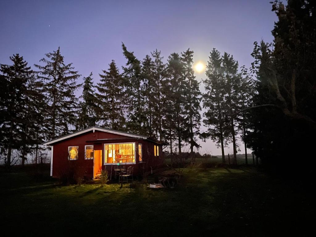 a small cabin in the middle of a forest at night at Landhaus mit Pool, Bungalow in der Natur in Hohenbollentin