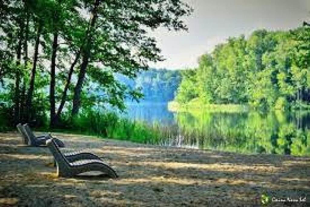 dois bancos de parque sentados em frente a um lago em Domek Miętowy Jodłów okolice Sławy całoroczny em Jodlow
