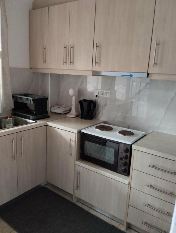Kuchyňa alebo kuchynka v ubytovaní Villas Irene 4 Family Apartments
