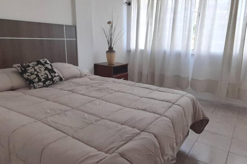 a large bed in a room with a window at Monoambiente en plena Ciudad de Mendoza in Mendoza