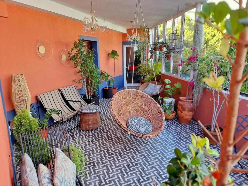 een patio met een bos potplanten bij ASPA - São Paulo Studios in Funchal