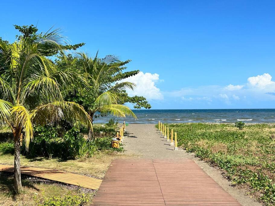 a path leading to the beach with palm trees at Seafront OnCall - private jacuzzi with 4 cozy bedrooms in San Juan