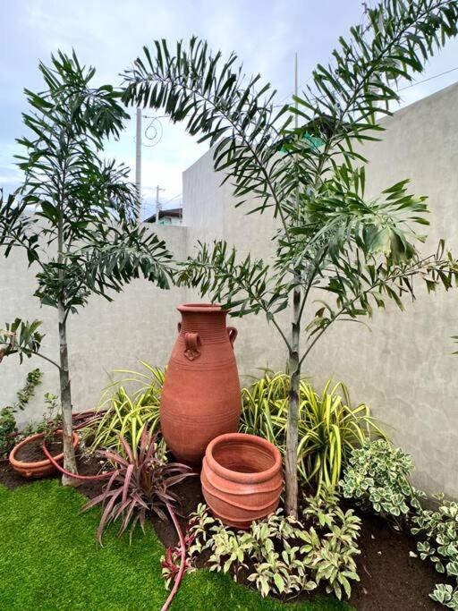 a large vase sitting next to some trees and plants at Seafront OnCall - private jacuzzi with 4 cozy bedrooms in San Juan