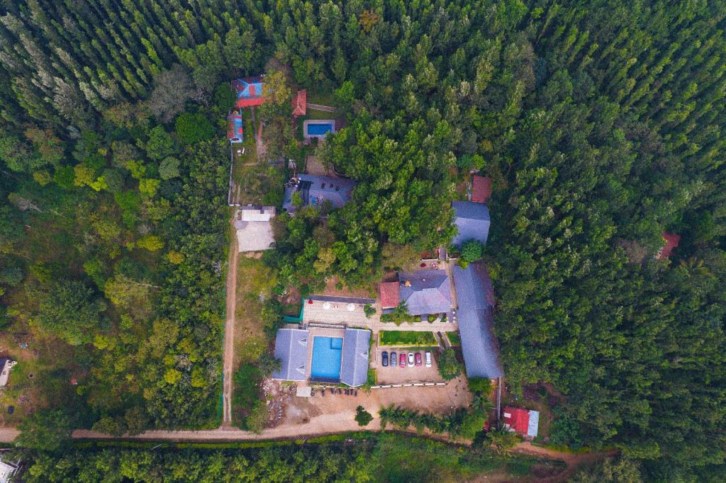 eine Luftansicht eines Hauses in einem Wald in der Unterkunft The Spectrum Resort - Chikmagalur in Chikmagalur