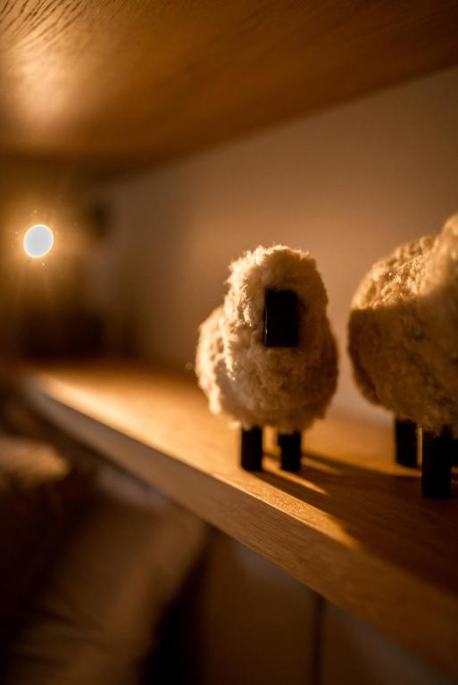 Olympic R2 - pied des pistes - carless holidays! - Resim 18