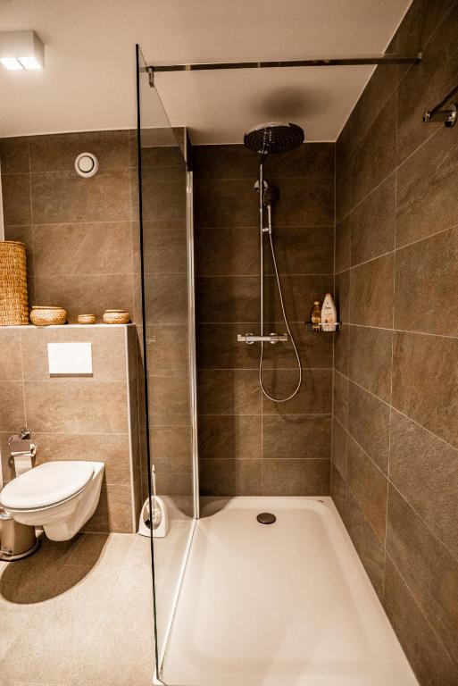 Olympic R2 - pied des pistes - carless holidays! - Resim 20