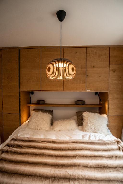 Olympic R2 - pied des pistes - carless holidays! - Resim 21