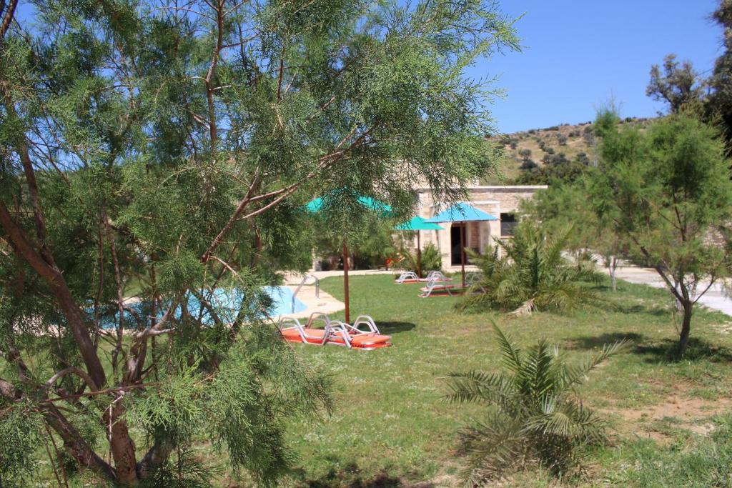 A garden outside Petra-Mare 2