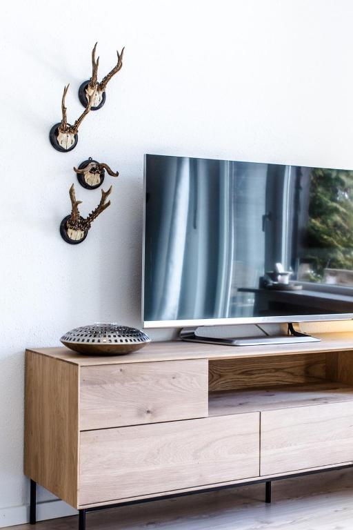 TV a/nebo společenská místnost v ubytování Alpenoase