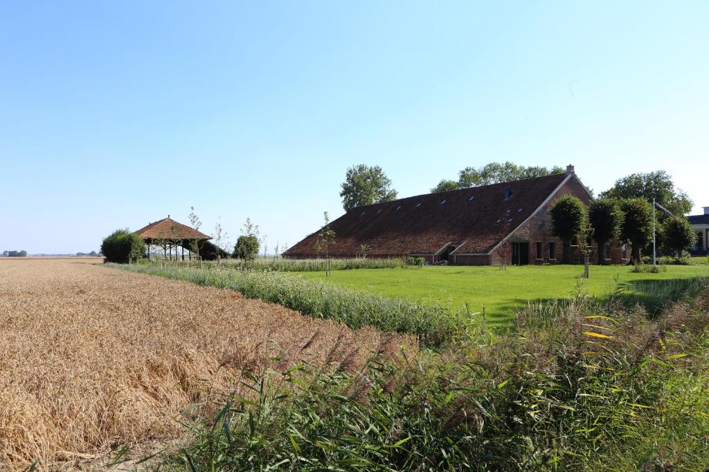 un campo de hierba con un granero en el fondo en Hoogheem Erfgoed & Logies, en Nieuwolda