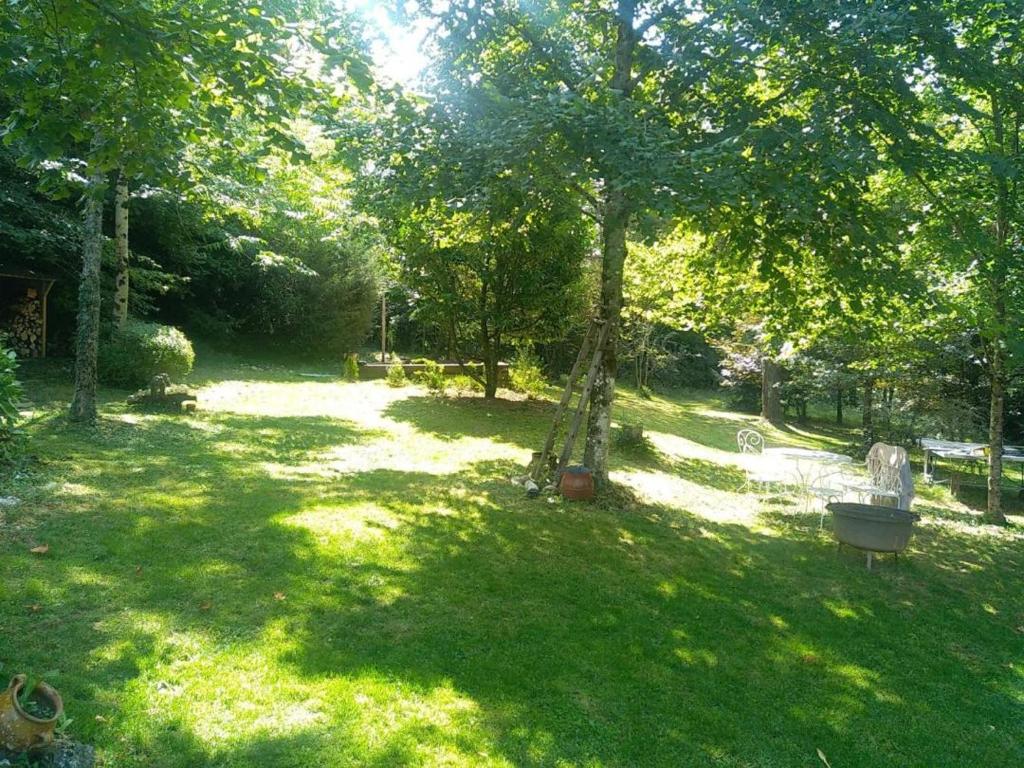 un parc avec un arbre et un banc dans l'herbe dans l'établissement Maison de campagne, à Paulinet