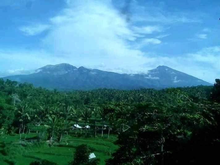 Girang Rinjani Bungalows - 13