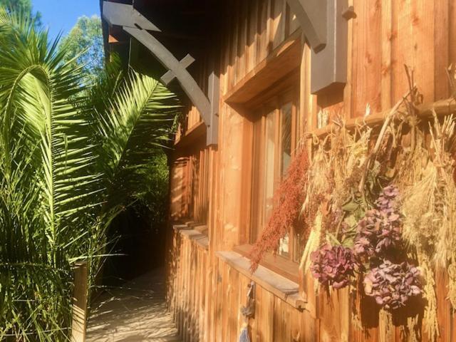 budynek z kwiatami na boku w obiekcie Cabane Chic au Cap Ferret w mieście Lège-Cap-Ferret