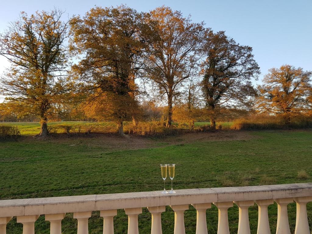 um copo de vinho sentado em cima de uma cerca em La Perle Secrète em Theneuille