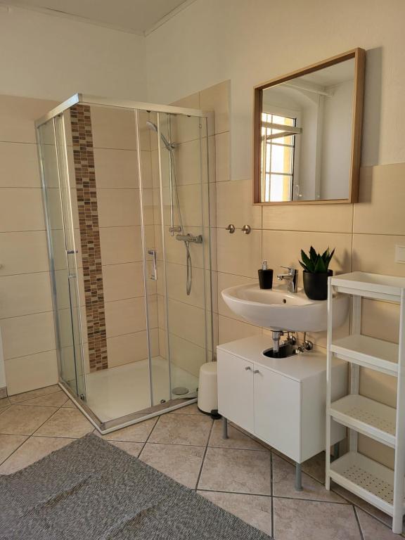 La salle de bains est pourvue d'une douche, d'un lavabo et d'un miroir. dans l'établissement TKS-HOME, à Mündersbach