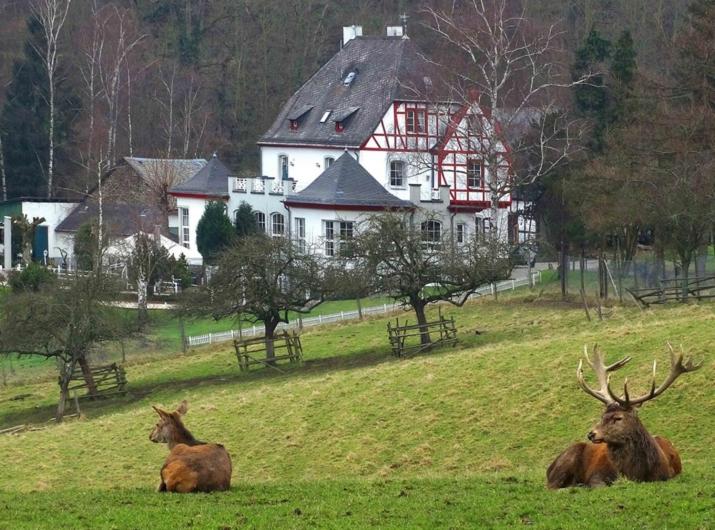 Ferienwohnung in Lahnstein am Rhein - Appartement 1 Chambre