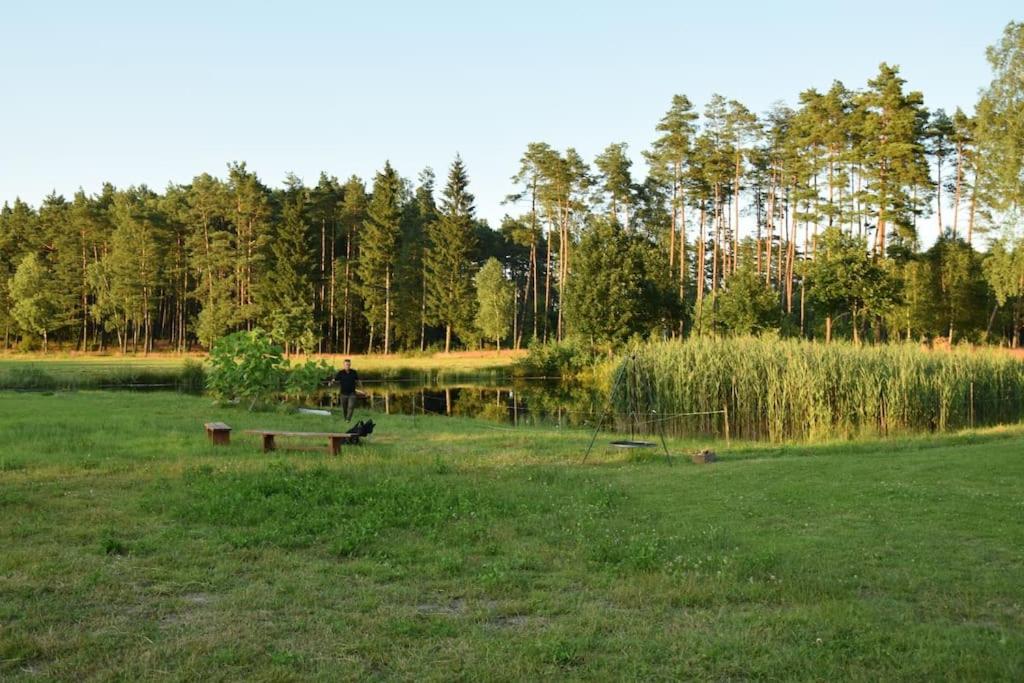 a person standing in a field next to a lake at Agroturystyka Leśna Wyspa in Kaliska