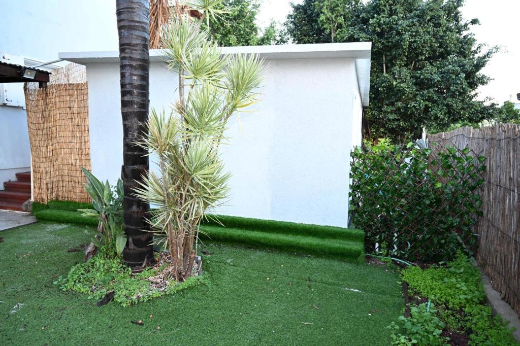 a white fence with a palm tree in a yard at פסגת הדרור in Shelomi