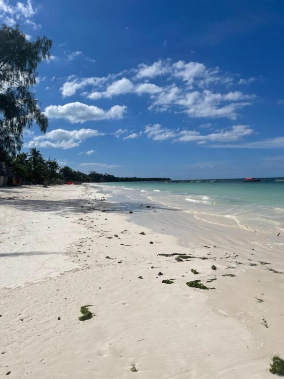 une plage avec des empreintes sur le sable et l'océan dans l'établissement La CASETTA A ZANZIBAR B&B, à Uroa