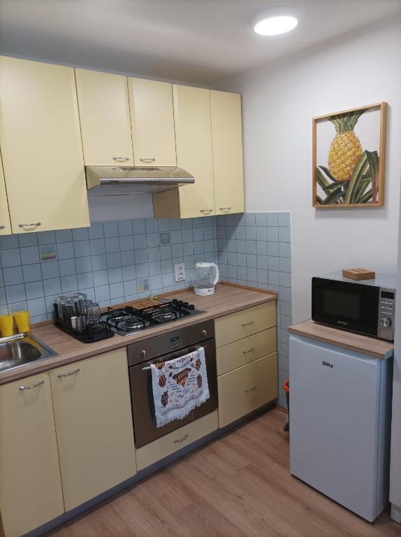 Fenix studio apartment, Zagreb - 6