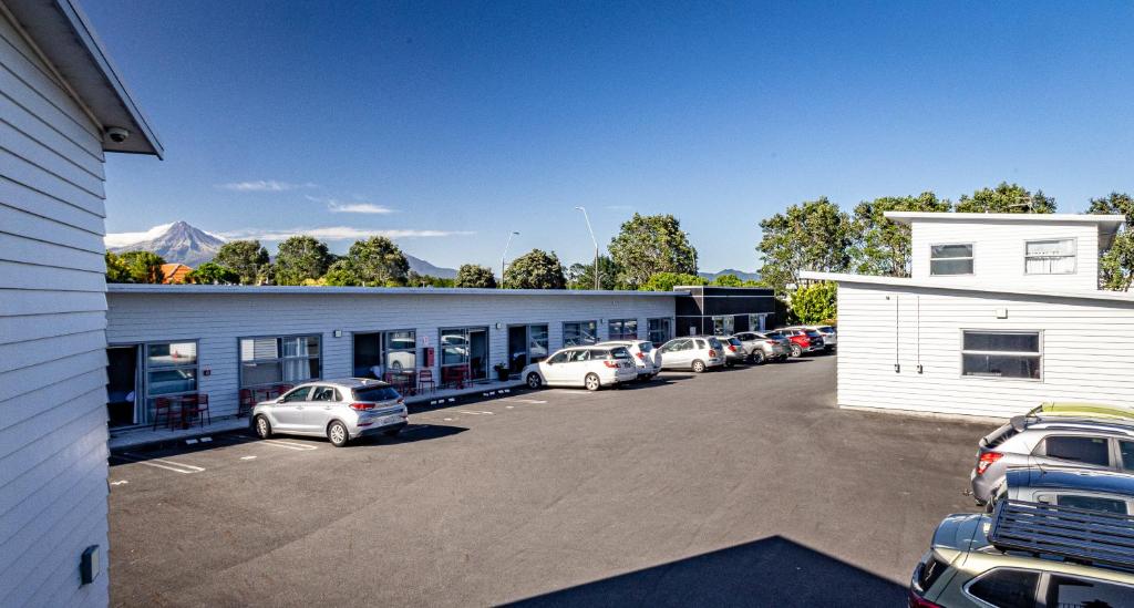 Pukekura Motor Lodge - Resim 14