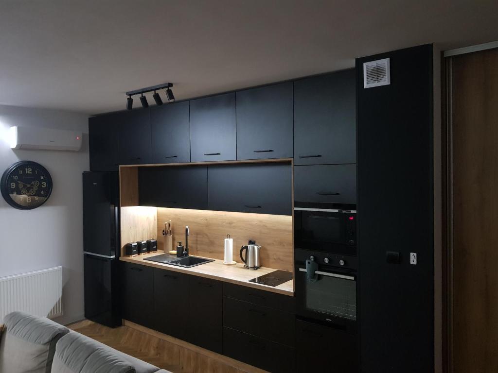Kuchyňa alebo kuchynka v ubytovaní Apartamenty Limanowskiego