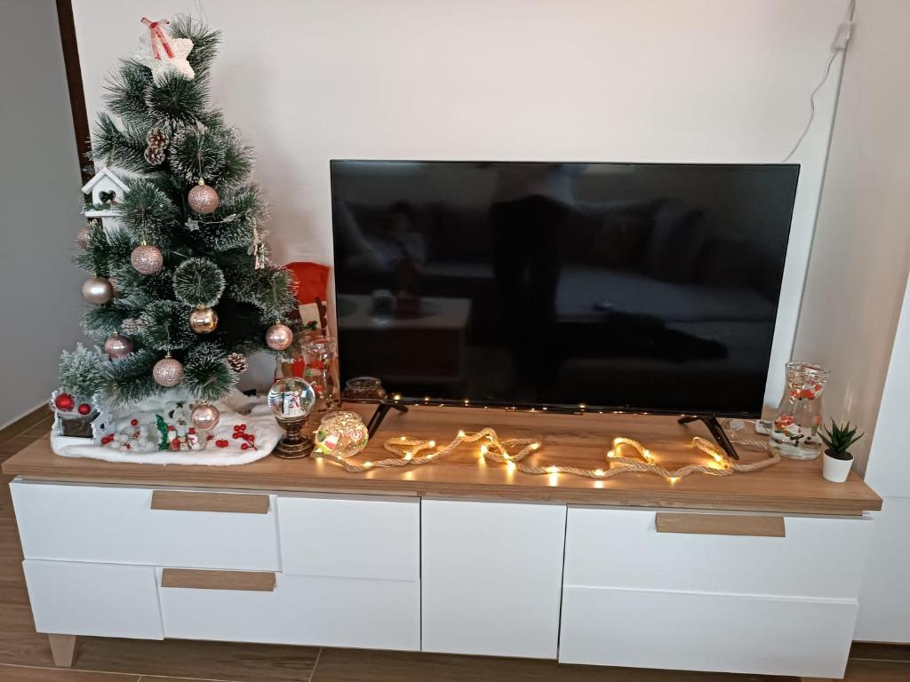 Telewizja i/lub zestaw kina domowego w obiekcie Apartman Meseceva dolina