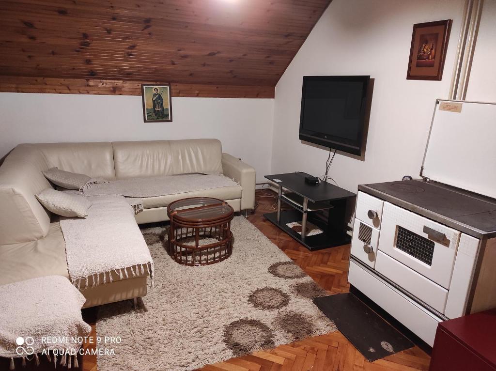 ein Wohnzimmer mit einem Sofa und einem Flachbild-TV in der Unterkunft Kuća za odmor Jovanović in Perućac