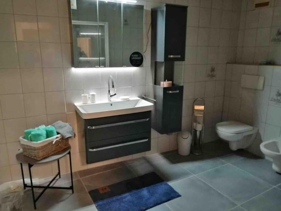 a bathroom with a sink and a toilet at Appartement bei Schloß Ulmerfeld 