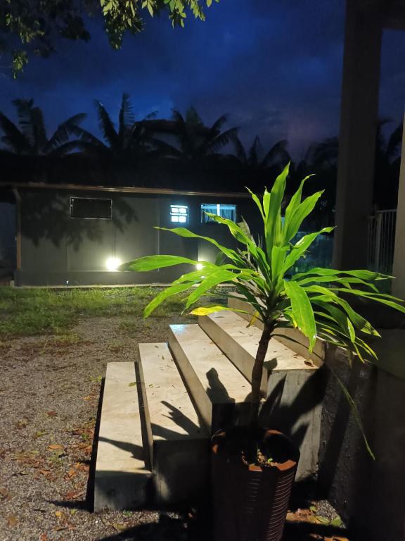 a plant sitting on a wooden bench at night at Chalés Cambury in Camburi