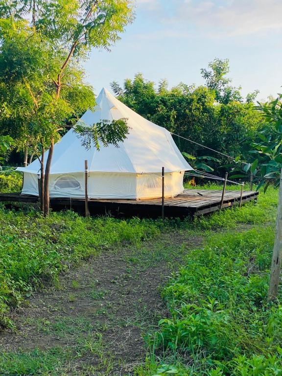 Giardino di Planta Glamp Farm