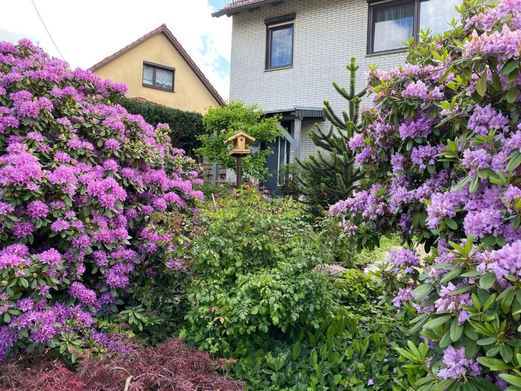 a garden with purple flowers in front of a house at Apartment in Waltershausen in Waltershausen