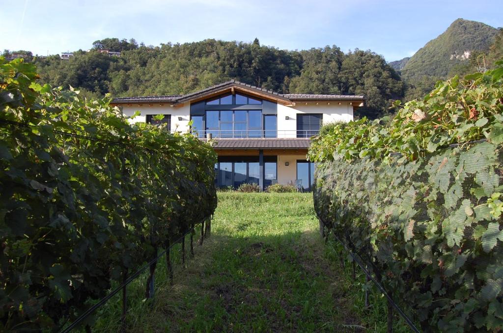 uma casa numa vinha com uma parede de vinhas em B&B Il Vigneto em Melano