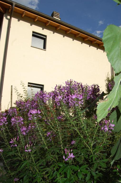Zahrada ubytování B&B Il Vigneto