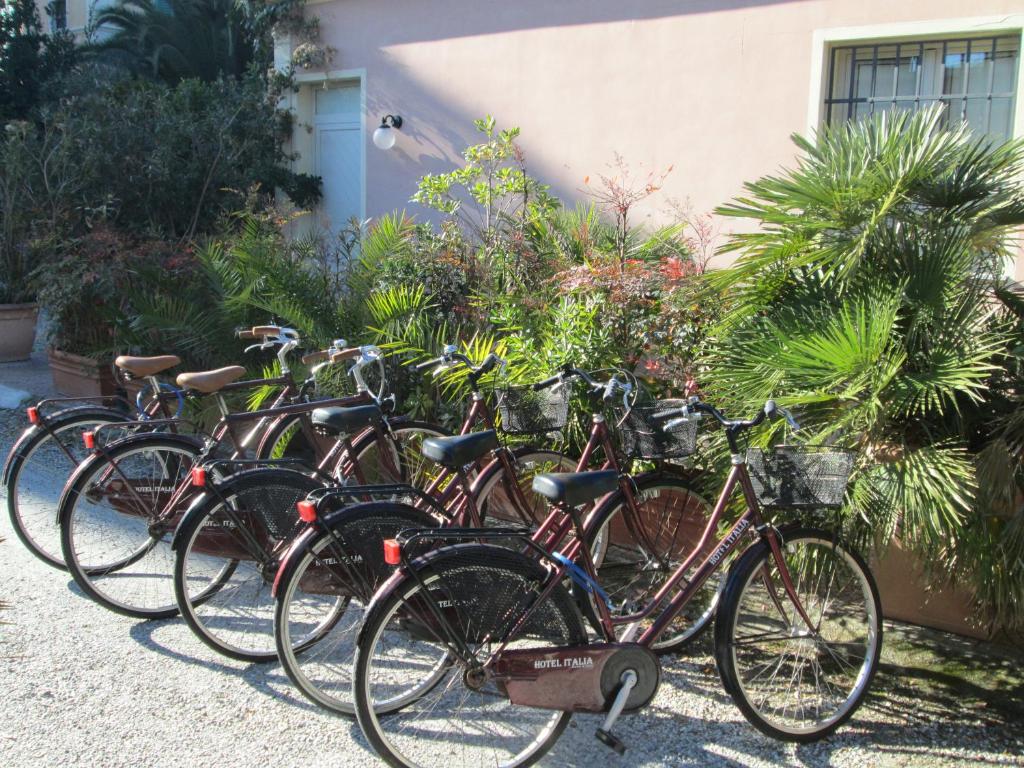 Rowery dostępne w obiekcie Hotel Italia lub w pobliżu