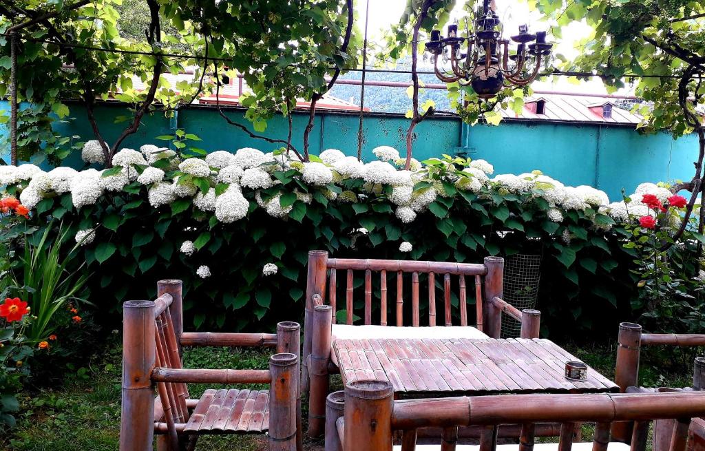 Zahrada ubytování Guest House Metreveli