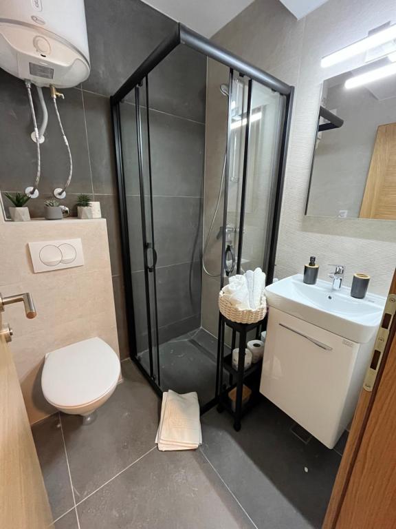 a bathroom with a shower and a toilet and a sink at Pinewood apartment Jahorina in Jahorina