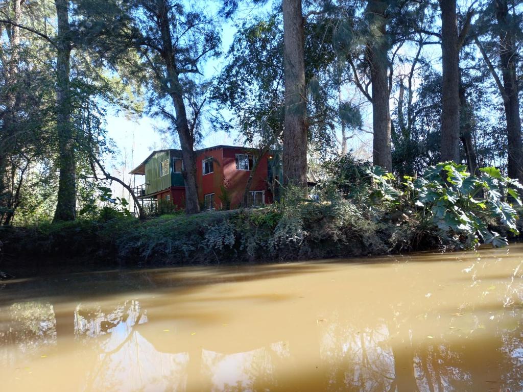 una casa en el bosque al lado de un cuerpo de agua en Cabaña del humedal en Tigre
