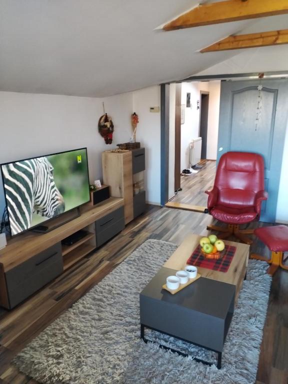 TV a/nebo společenská místnost v ubytování Apartment Viktor