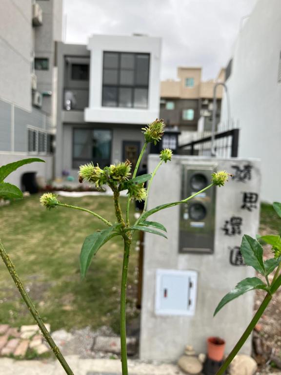 eine Pflanze mit gelben Blumen vor einem Gebäude in der Unterkunft Return to the Garden with Thoughts 隨思還園民宿 台東縣民宿第1926號 in Taitung