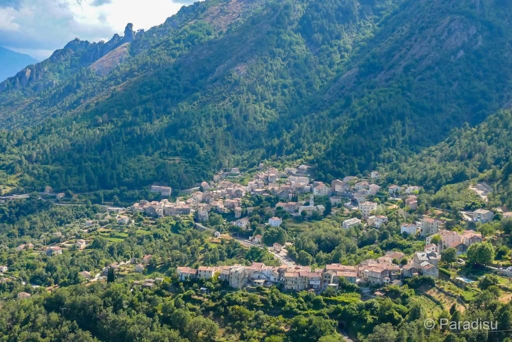 eine kleine Stadt inmitten eines Berges in der Unterkunft Studio Venaco Centre Corse in Venaco