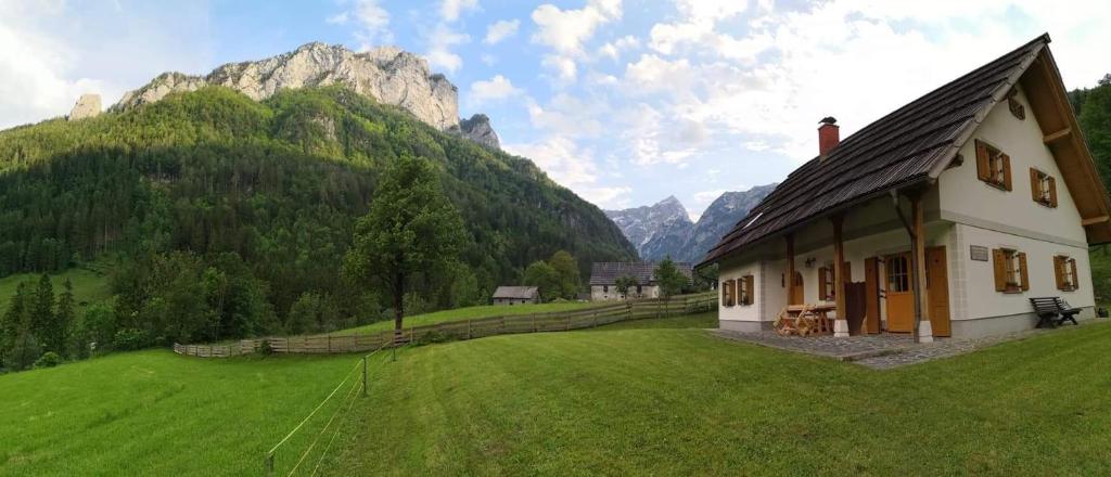 Příroda nedaleko apartmánu