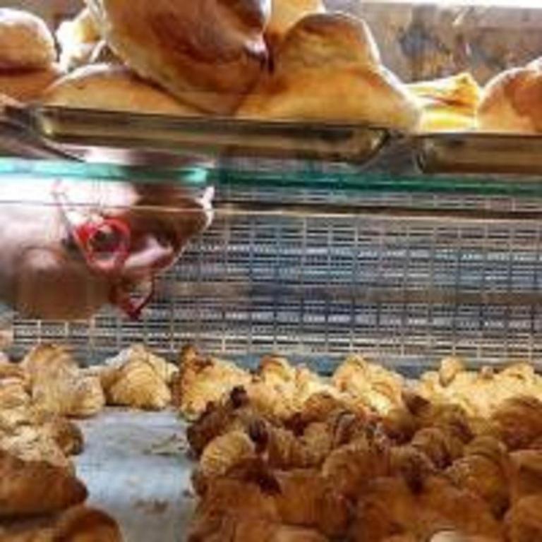 Étkezési lehetőség a panzióban vagy a közelben