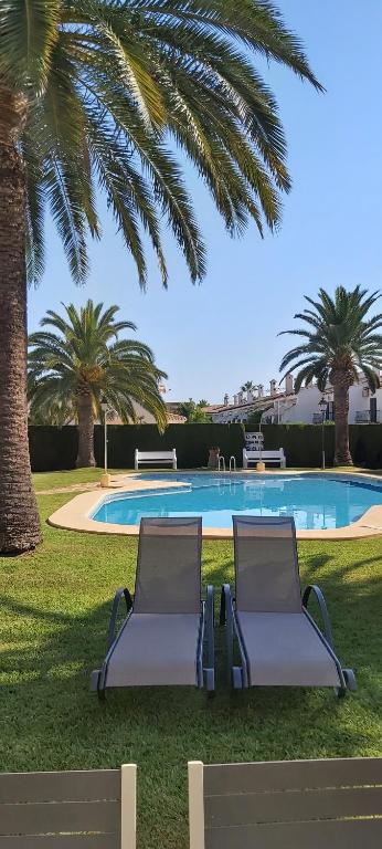 Duas espreguiçadeiras em frente a uma piscina com palmeiras em Casa del Toro em Els Poblets