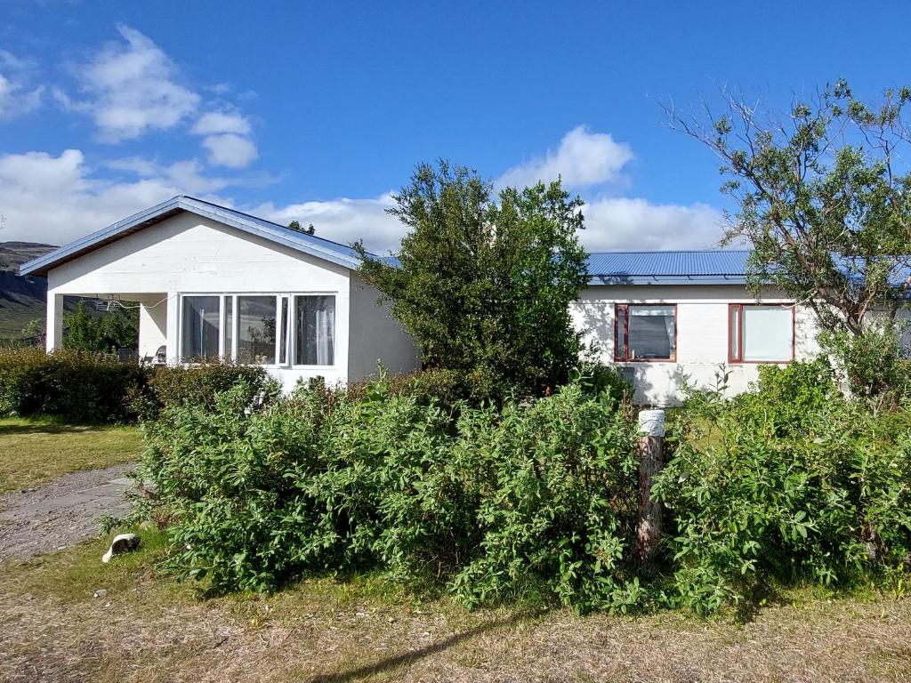 Zahrada ubytování Móra guesthouse