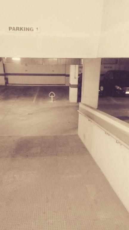 Las Palmeras, 893 - 15